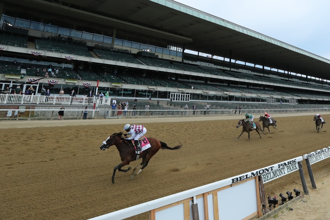 BIG AL's TRAVERS STAKES WINNER - HUGE HORSE RACE! - PickDawgz